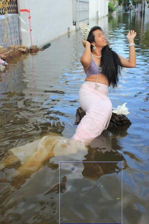 เงือกสาวแสนสวยช่วงน้ำท่วม : 