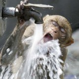 ขำๆก่อนนอน