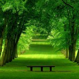 Vert Printemps