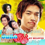 บันทึกรักหัวใจนายซางดู