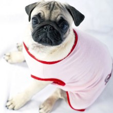 PUG