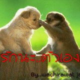 การจะมีรักใหม่..มันต้องใช้เวลา