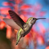 A beautiful World 20