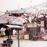 บ้านสวยแบบญี่ปุ่น