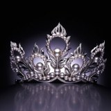 ตัวแทน Miss Universe 2013 เบื้องต้น