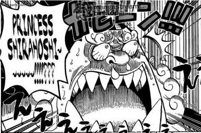 One Piece !!!! : 