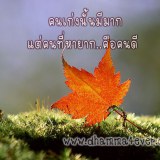 ธรรมะ ล้างจิต เตือนสติ กระตุ้นหิริโอตตัปปะ 2