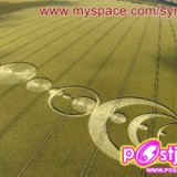 พิศวงทุ่งข้าวโพด Crop Circle