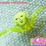 รวมภาพประหลาด ที่คุณอาจไม่เคยเห็นมาก่อน ภาค 2